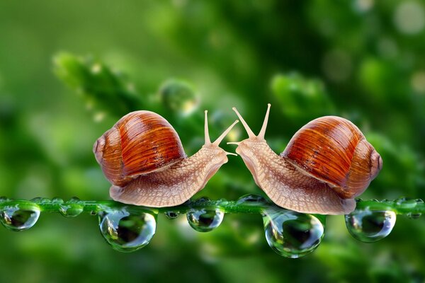 Pareja enamorada en cristales de agua. cita