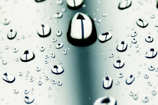 Elegante foto macro gotas