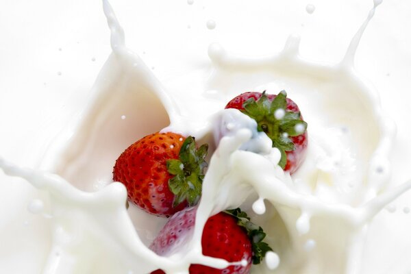 Fresas en crema. Squirting placer