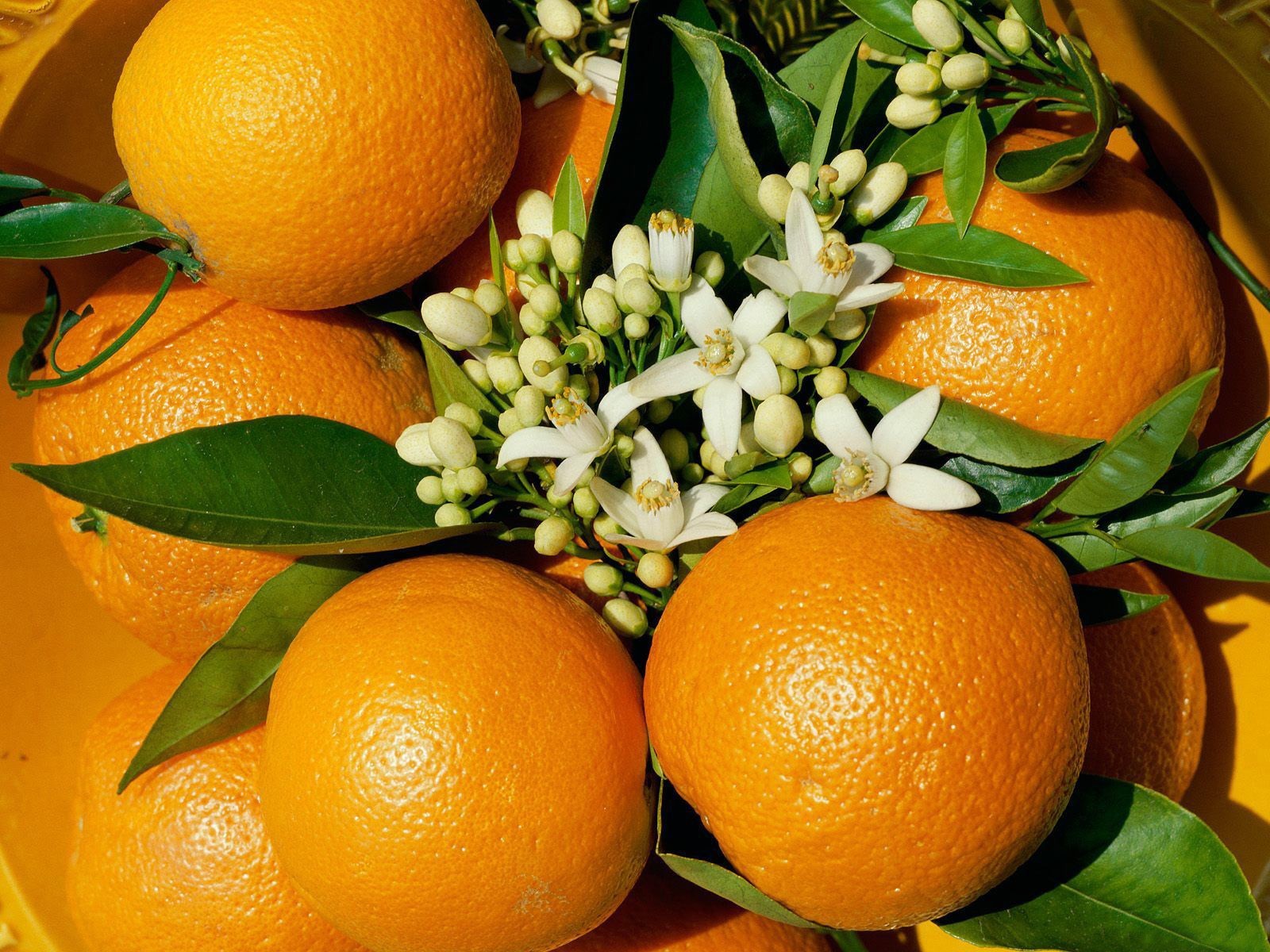 orange fleurs fruit