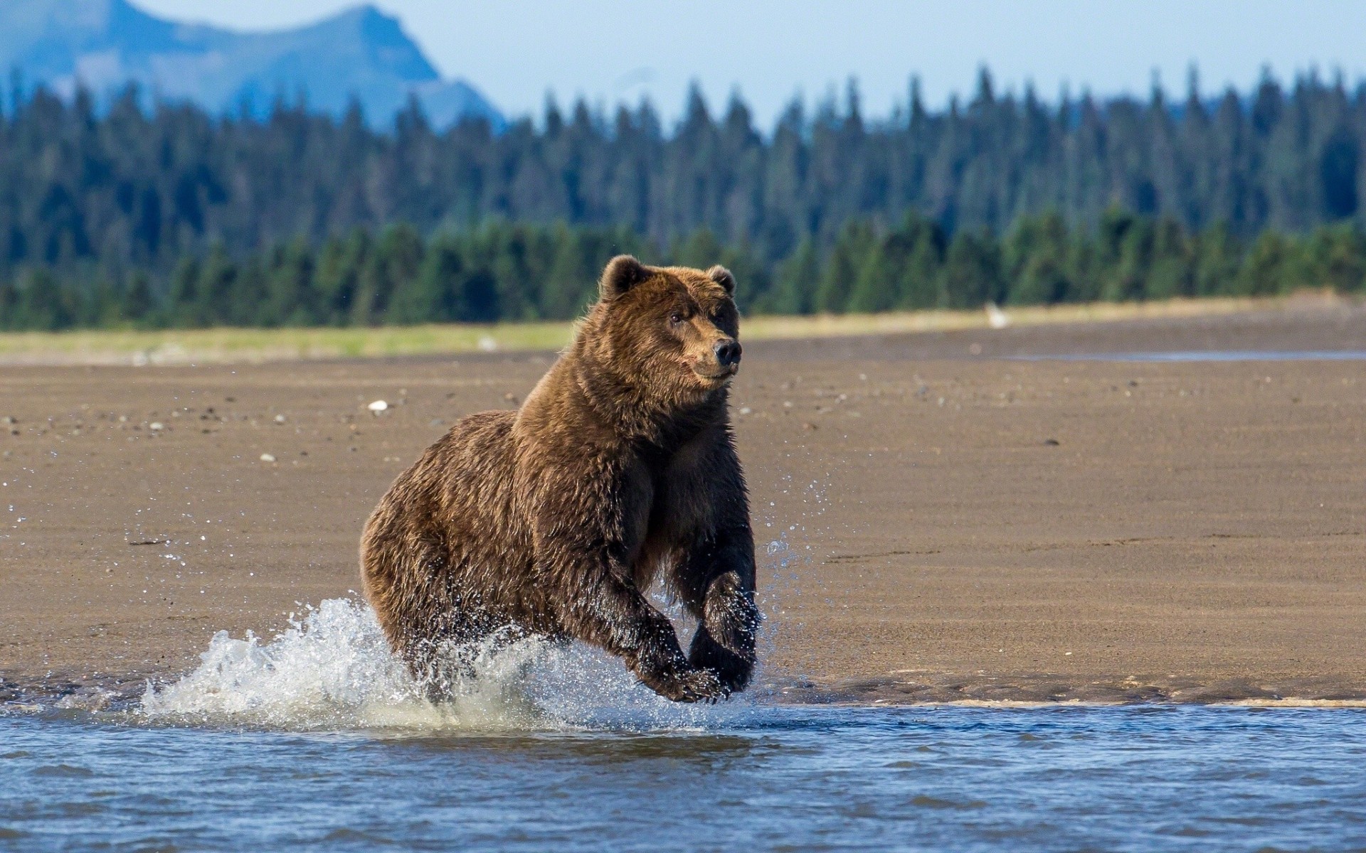 ours lac alaska