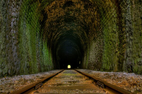 An overgrown tunnel with rails and light ahead