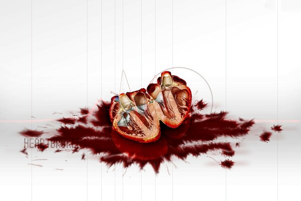 A bloody heart cut in half