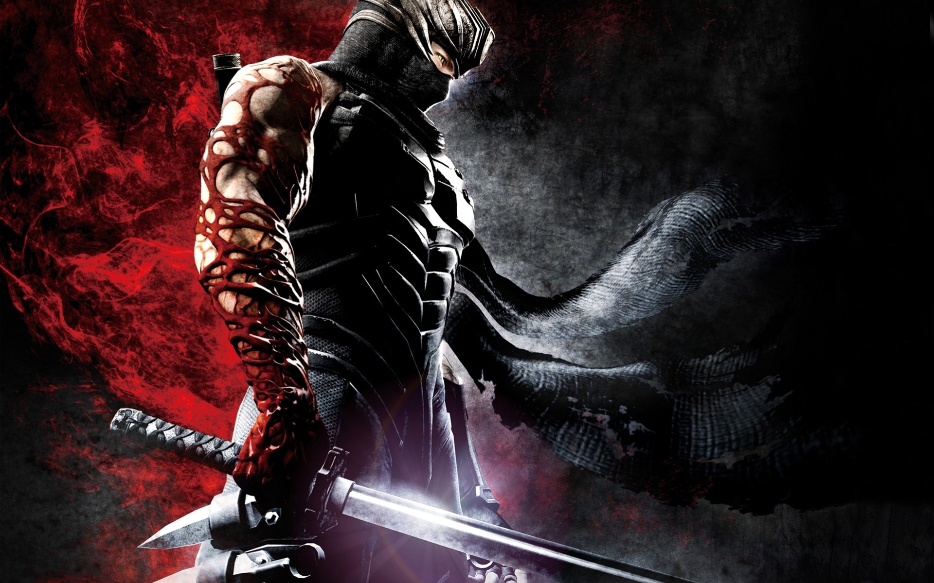 ninja gaiden arme action slasher anime guerriers ninja fantaisie katana sang