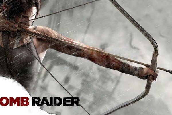 The game in which Lara Croft is depicted