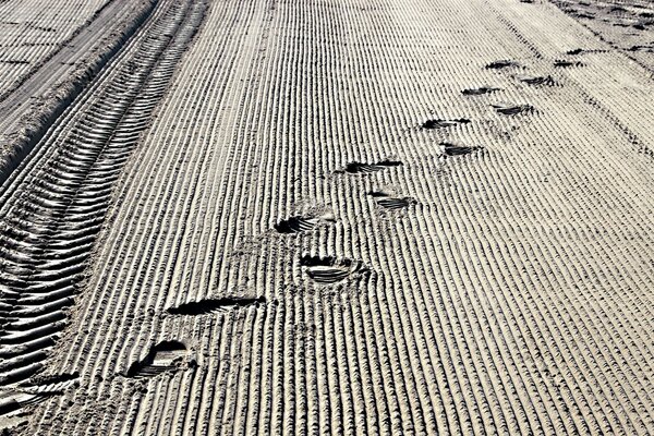 Tracce sulla striscia di confine