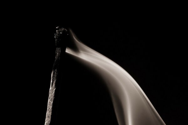 An extinguished match. Smoke from a match