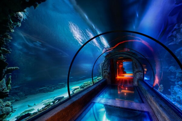 Hermoso acuario de paso de agua