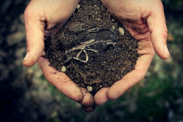 Una manciata di terra nelle mani dell uomo