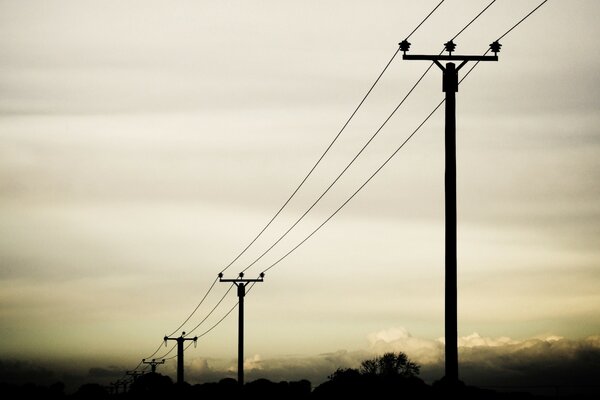 Postes eléctricos en el fondo del amanecer