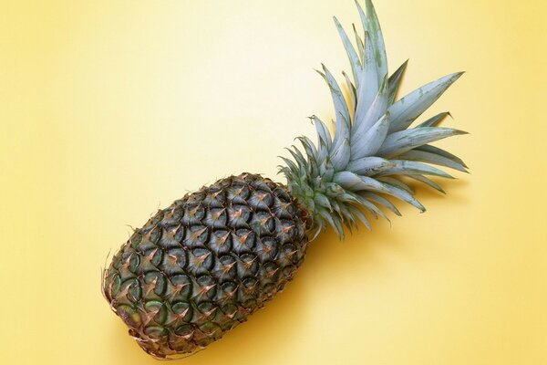 Frutta esotica, ananas con gusto e aroma unici