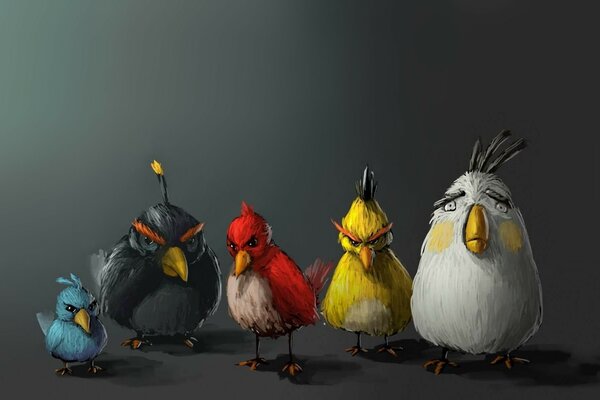 Five birds from angry birds on a gray background