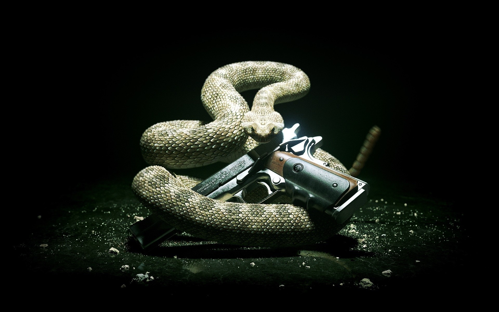 hitman 5 hitman month style killer hitman 5 silverballer snake