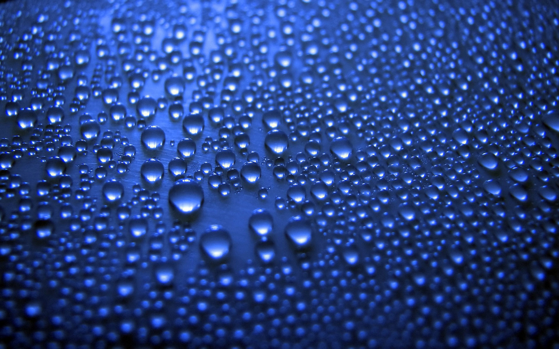 gotas azul belleza macro