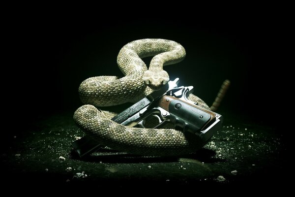 Snake and gun - a rattling mixture