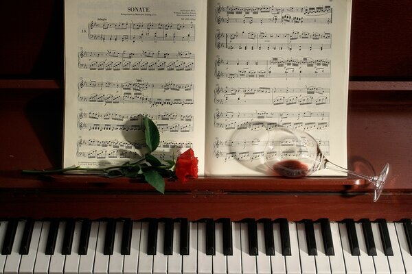 Evening leisure with your favorite music