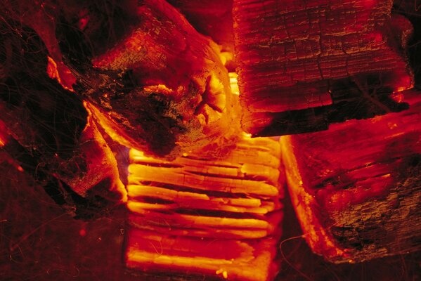 Red-hot coals in a campfire close-up