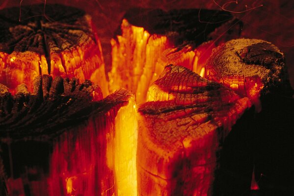 Red-hot firewood in the campfire close-up