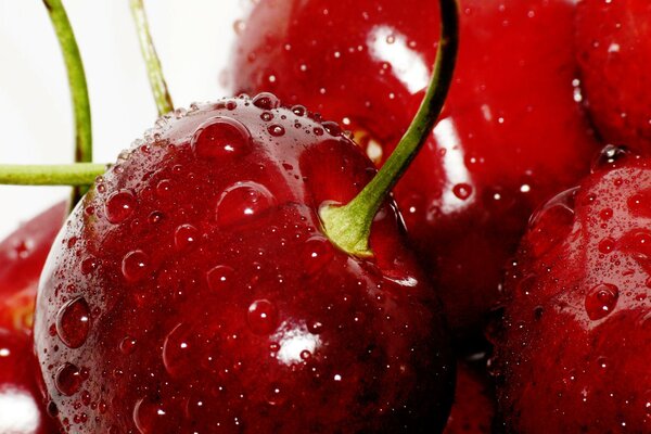 Hermosa foto de cerezas dulces con gotas