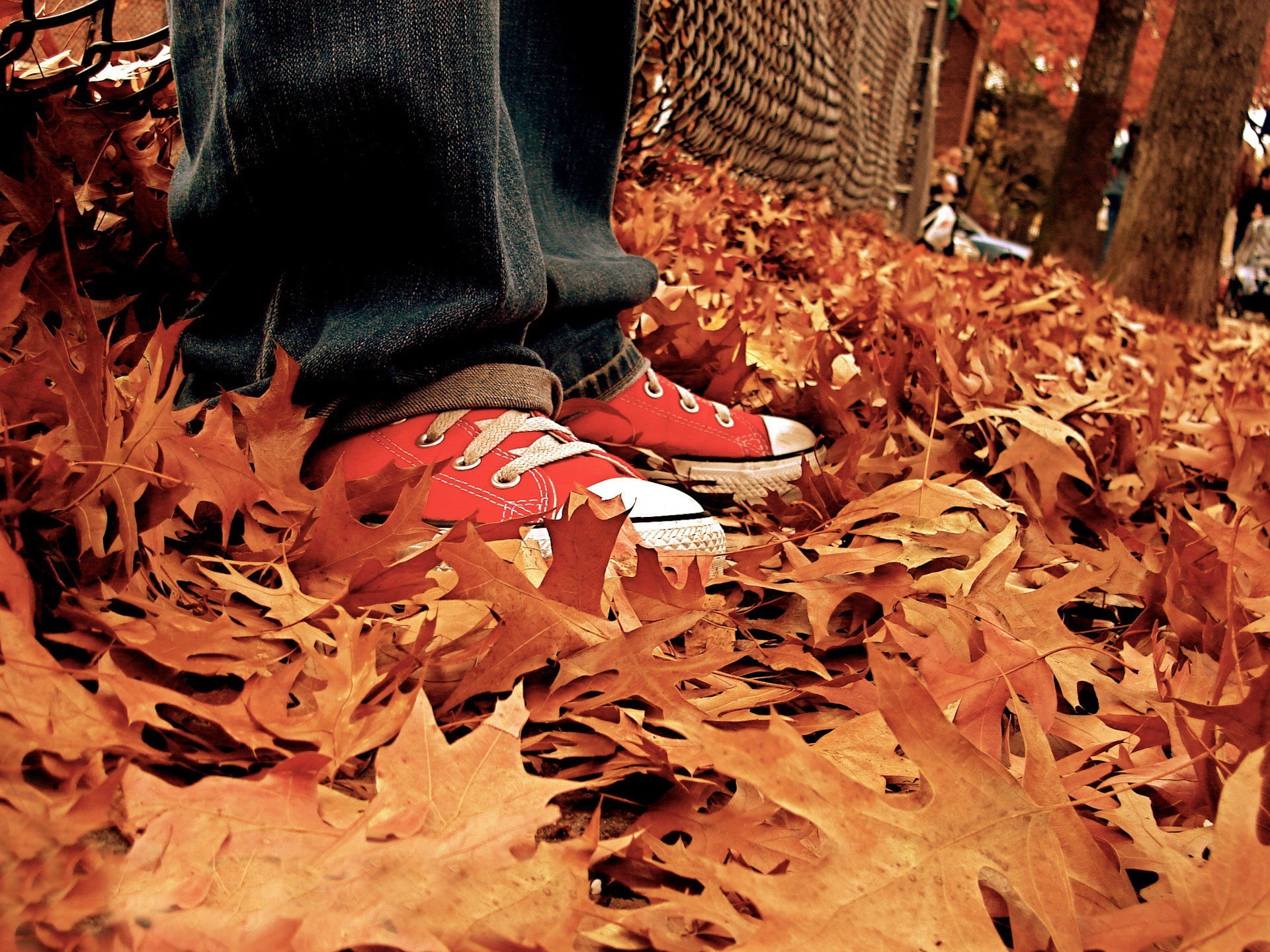 hojas otoño zapatillas