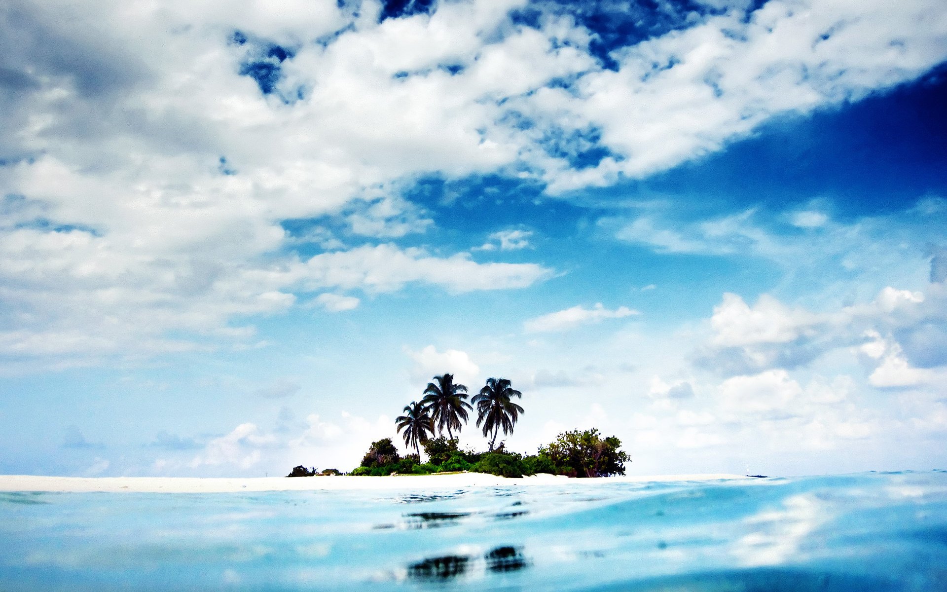 nature the ocean palm trees island landscape water the sky