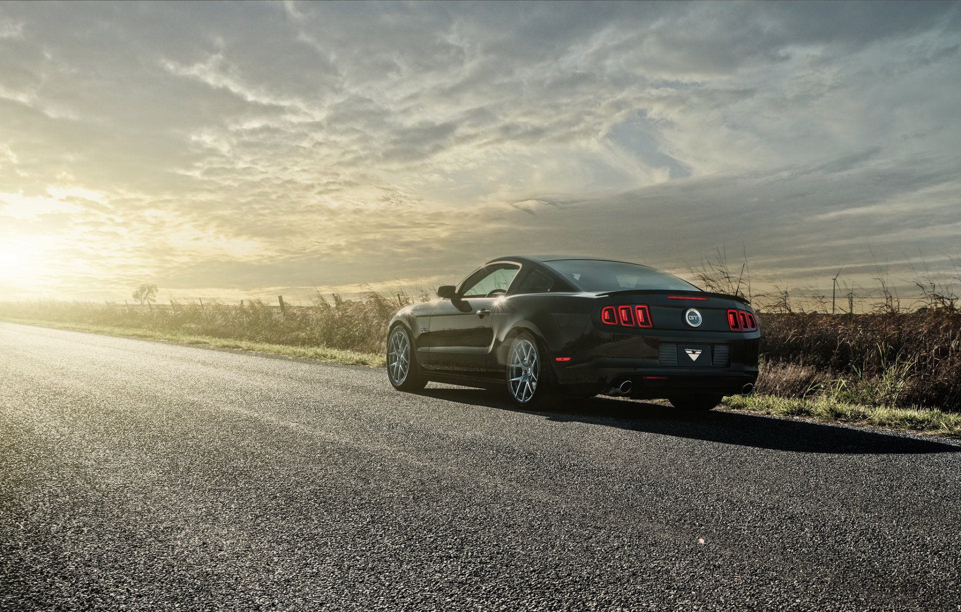 ford mustang gt 5.0 czarny tył słońce droga