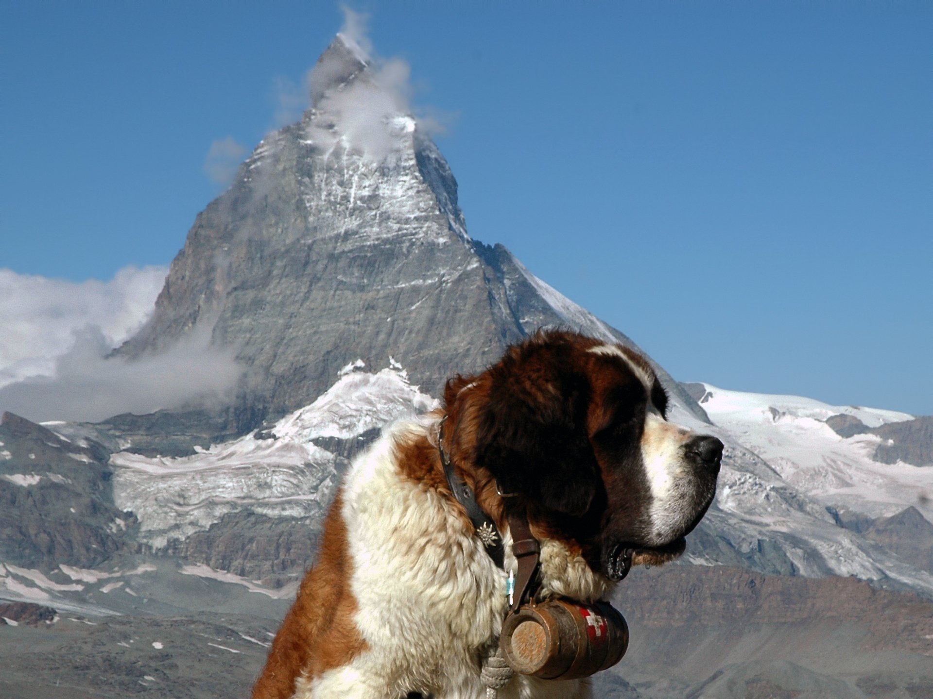 cervin saint-bernard alpes