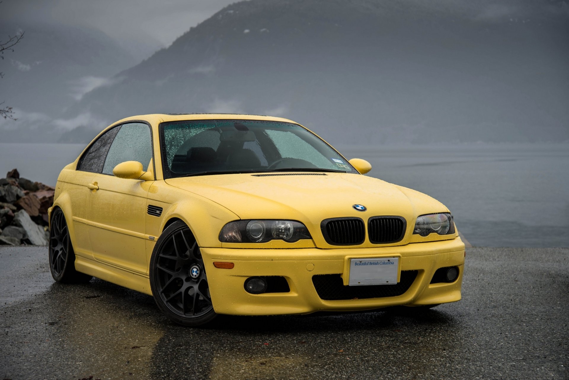 bmw m3 e46 żółty bmw widok z przodu asfalt mokry