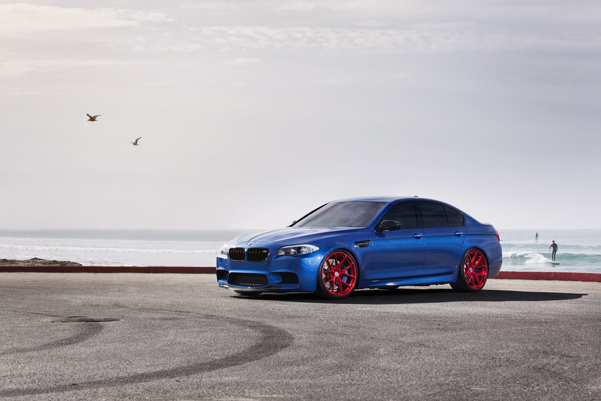 bmw m5 f10 monte carlo blue bmw blue front view sky seagull