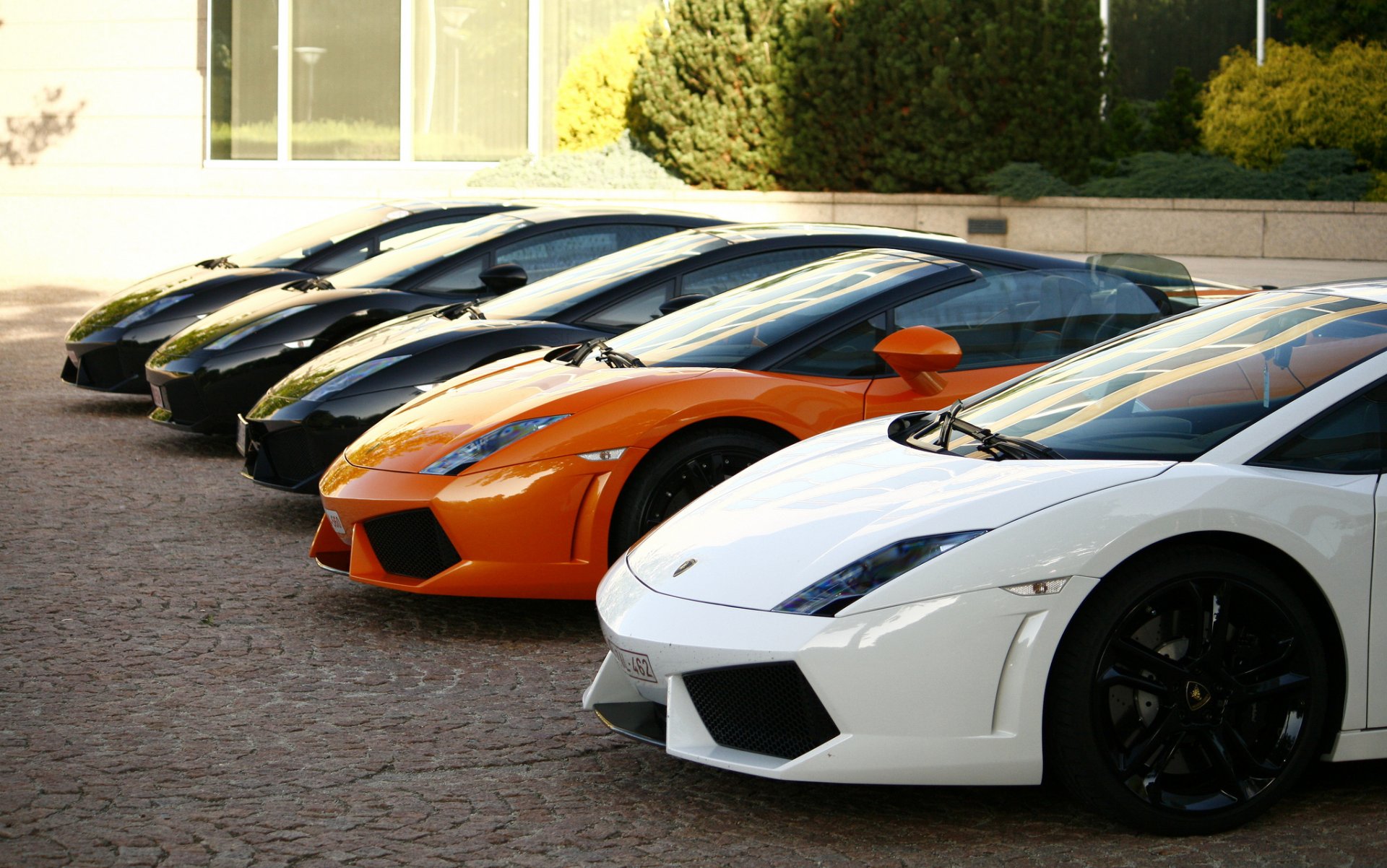 lamborghini gallardo blanc noir orange avant lamborghini gajardo bâtiment arbres