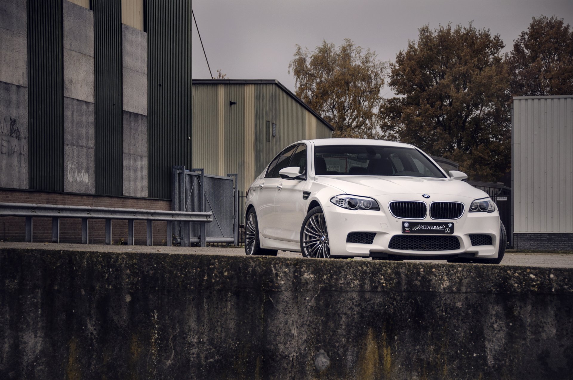 bmw m5 f10 bianco bmw vista frontale edifici alberi cielo