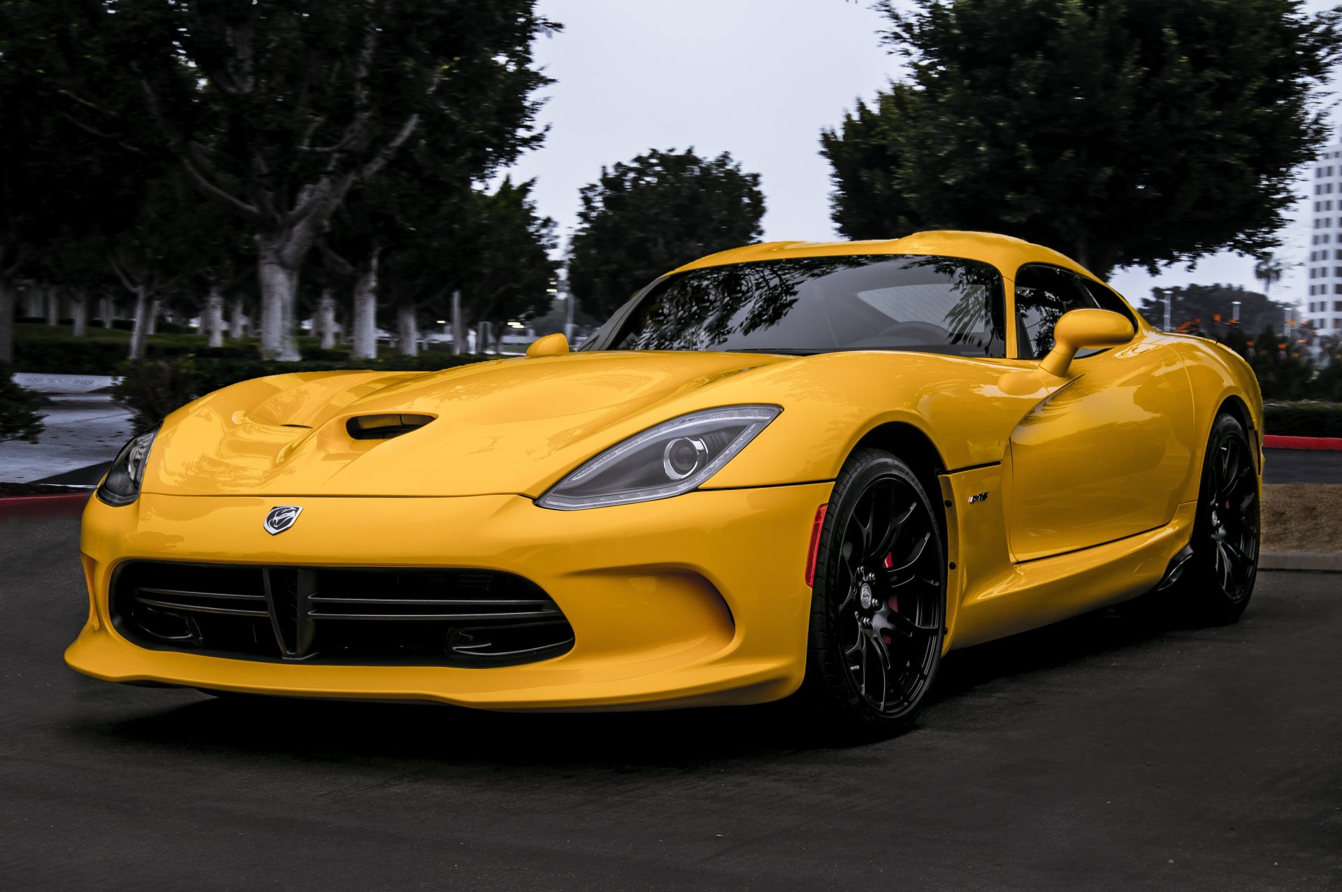 esquivar víbora cien gts amarillo dodge viper vista frontal árboles