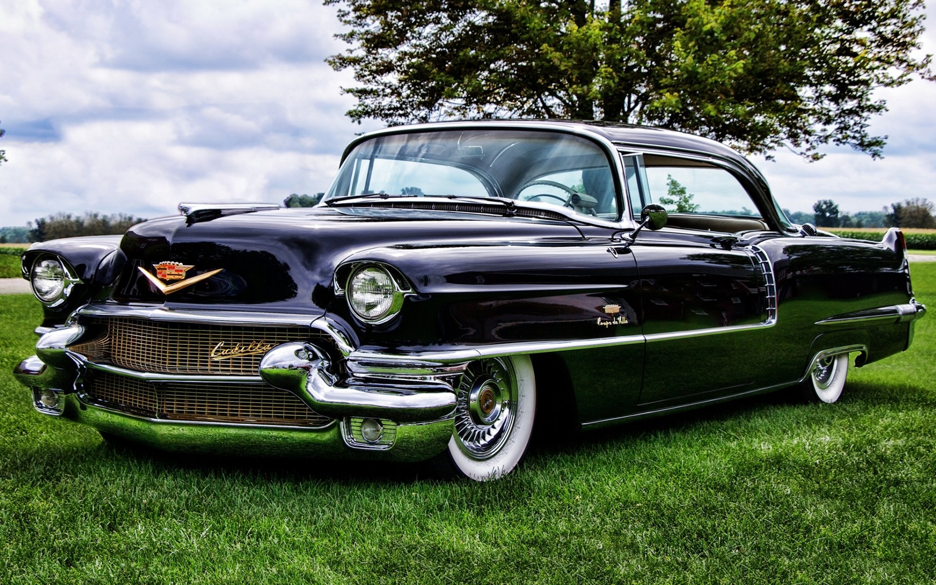 cadillac sesenta y dos coupé de ville 1956 cadillac frente árbol cielo