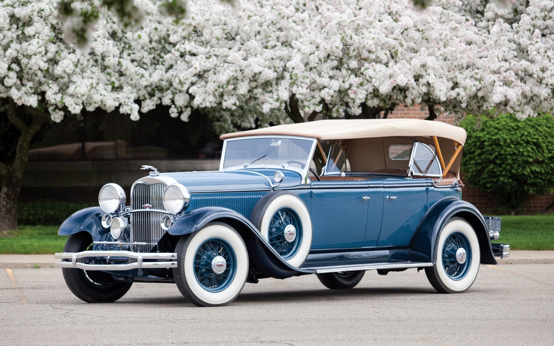 lincoln model k sport phaeton 1931 retro.front blumen hintergrund