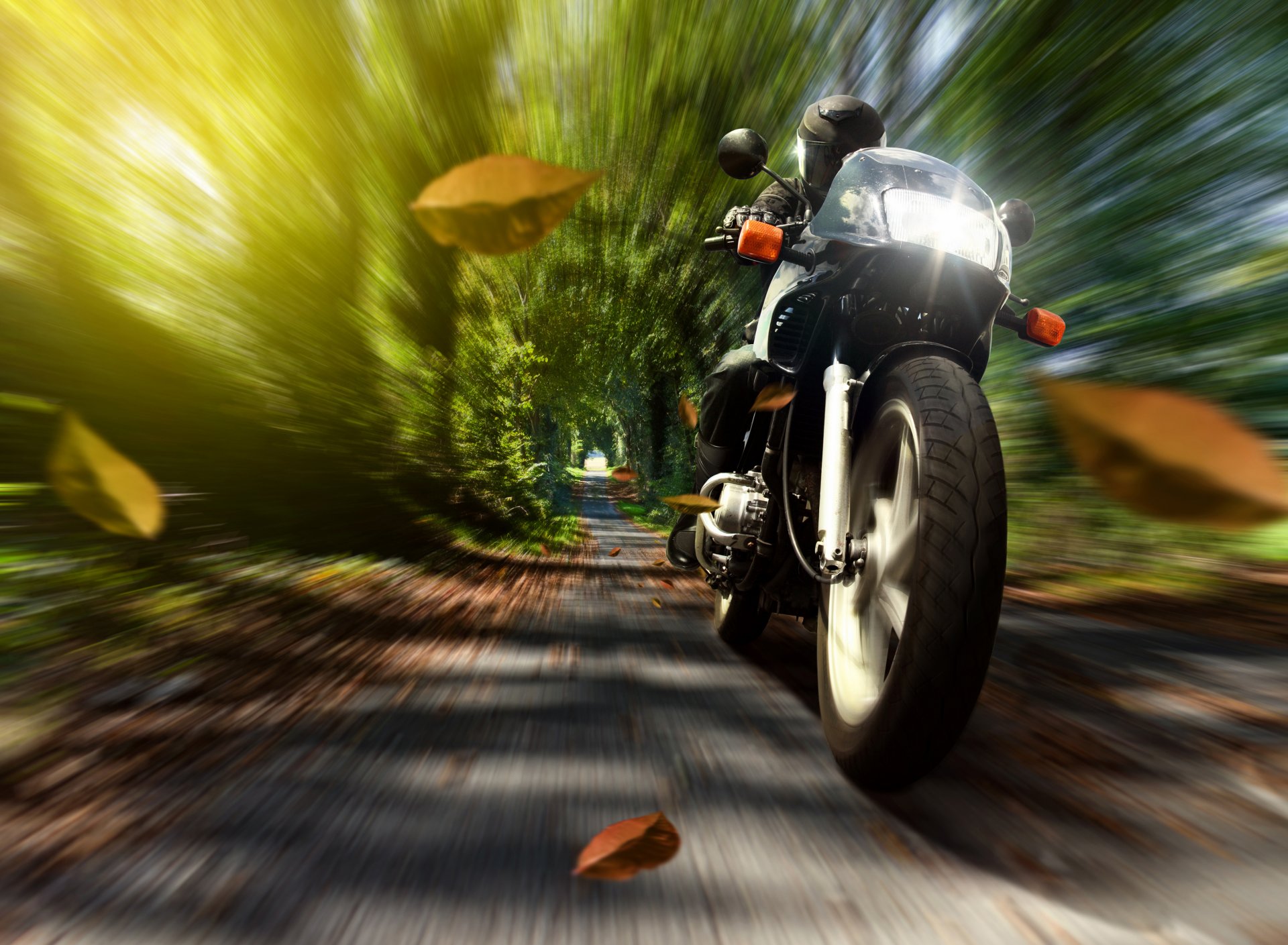 moto motociclista casco velocità natura autunno foglie