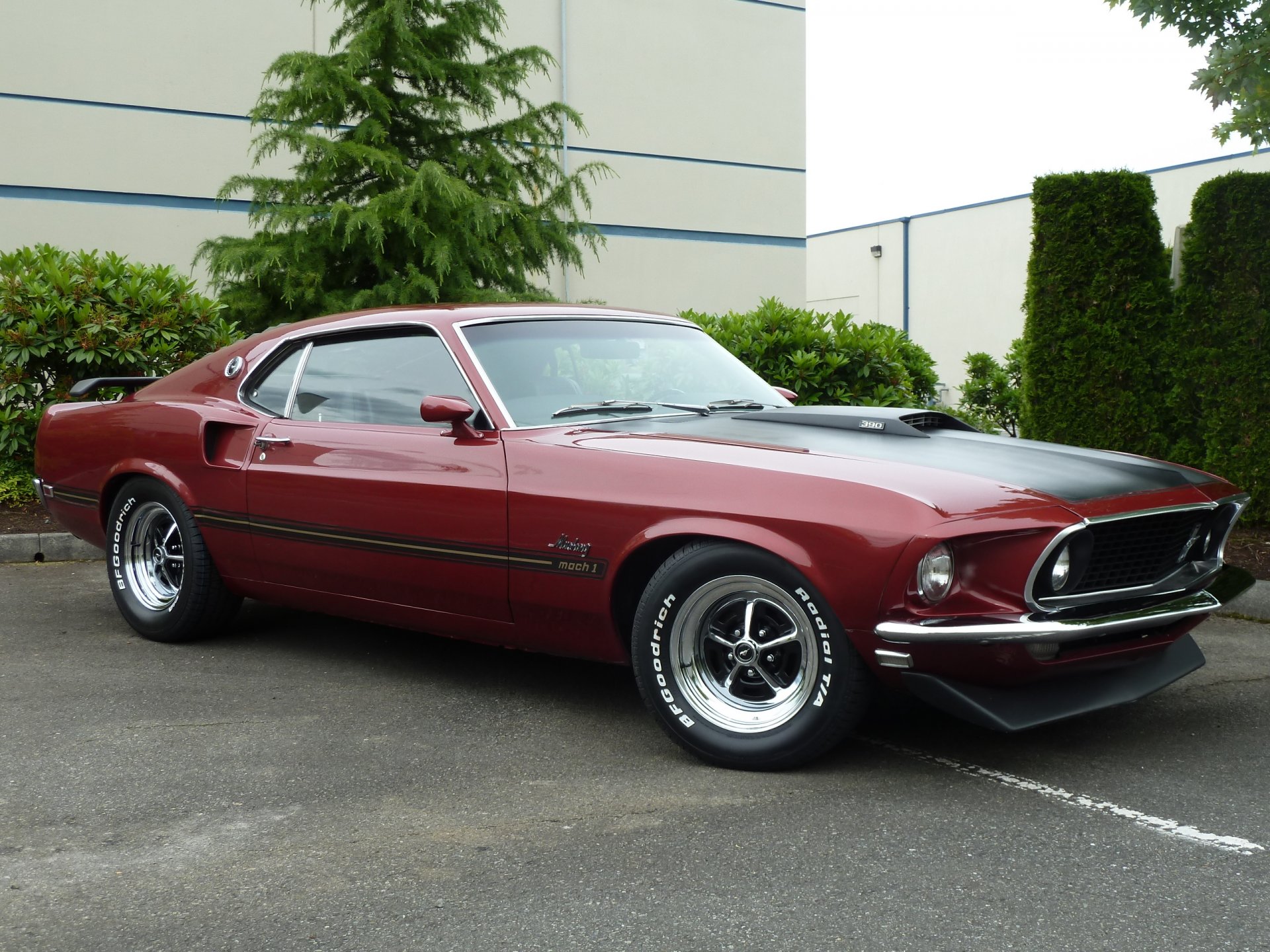 ford mustang mach 1 1969 muscle car muscle car