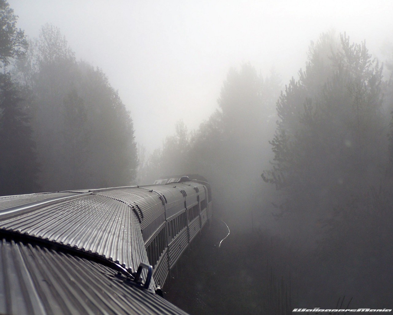 niebla tren vagones