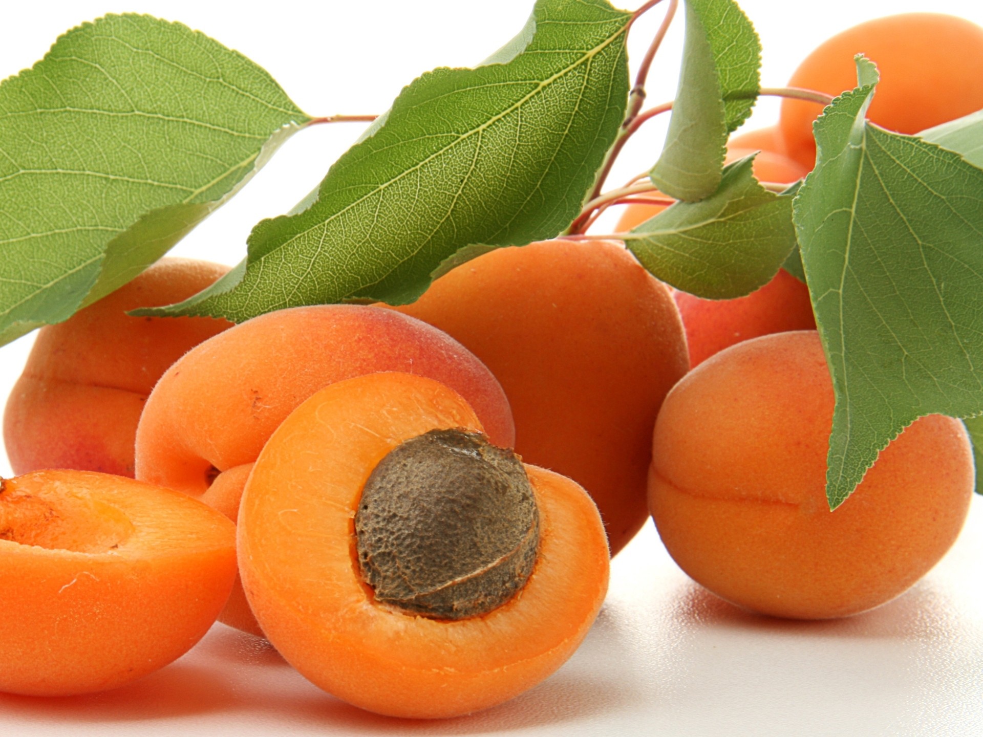 heet apricots bone