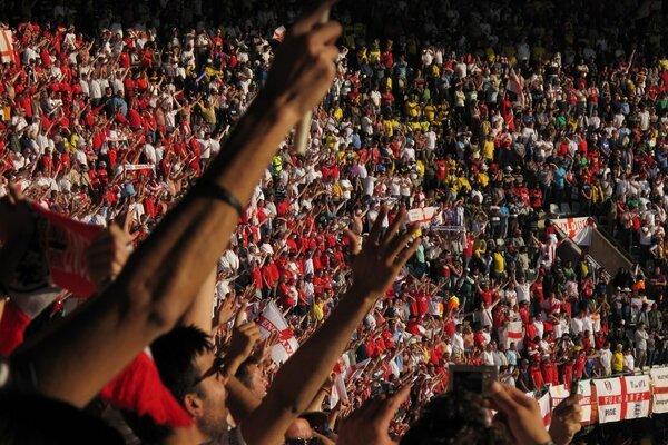 Fotos von jubelnden Fans im Stadion