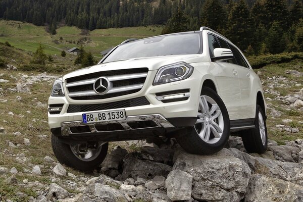 Mercedes-SUV ist ein Offroad-Sieger