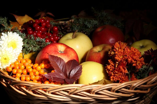 Récolte d automne d argousier et de pommes