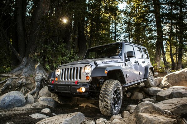 Jeep guida fuoristrada e rocce nella foresta