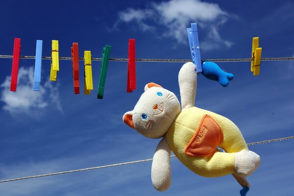 A bear hanging on a clothesline