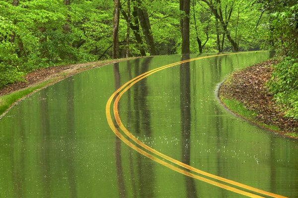 Grüne Straße im Herzen der Natur