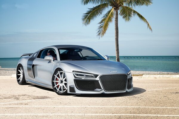 Silver audi under a palm tree by the ocean