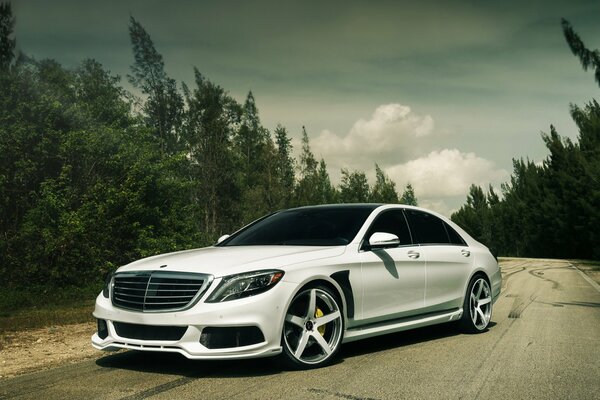 Mercedes-Benzes S550 blanco afinado en la carretera contra el bosque vista frontal