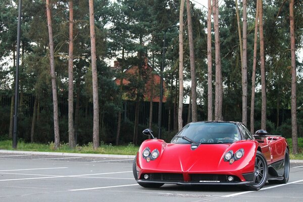 Czerwona Pagani sondy na parkingu. Do góry drzewa