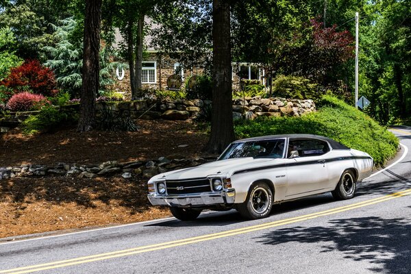 Chevrolet chevelle 1972 Wallpaper auf dem Desktop auf dem Hintergrund des Waldes