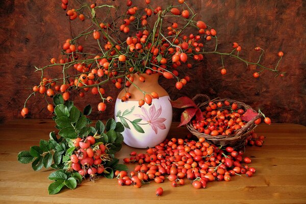 Leuchtend rote Hagebutte in einer Vase