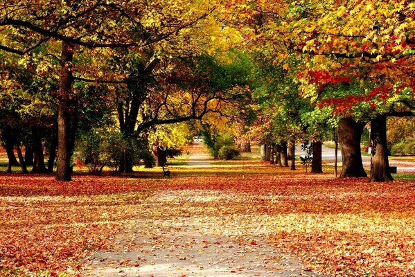 Colori autunnali in tutto il loro splendore